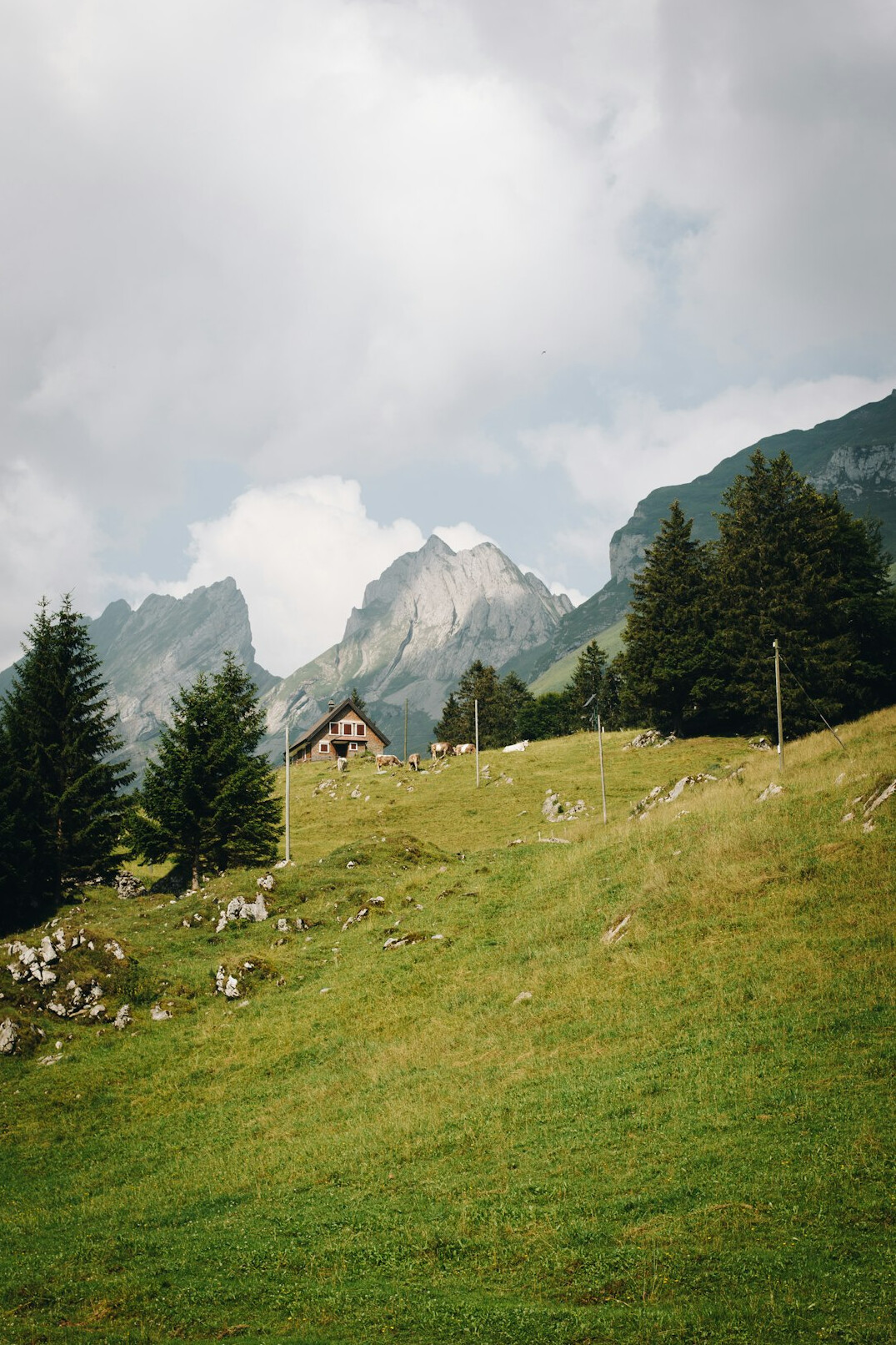 swiss alps mountains