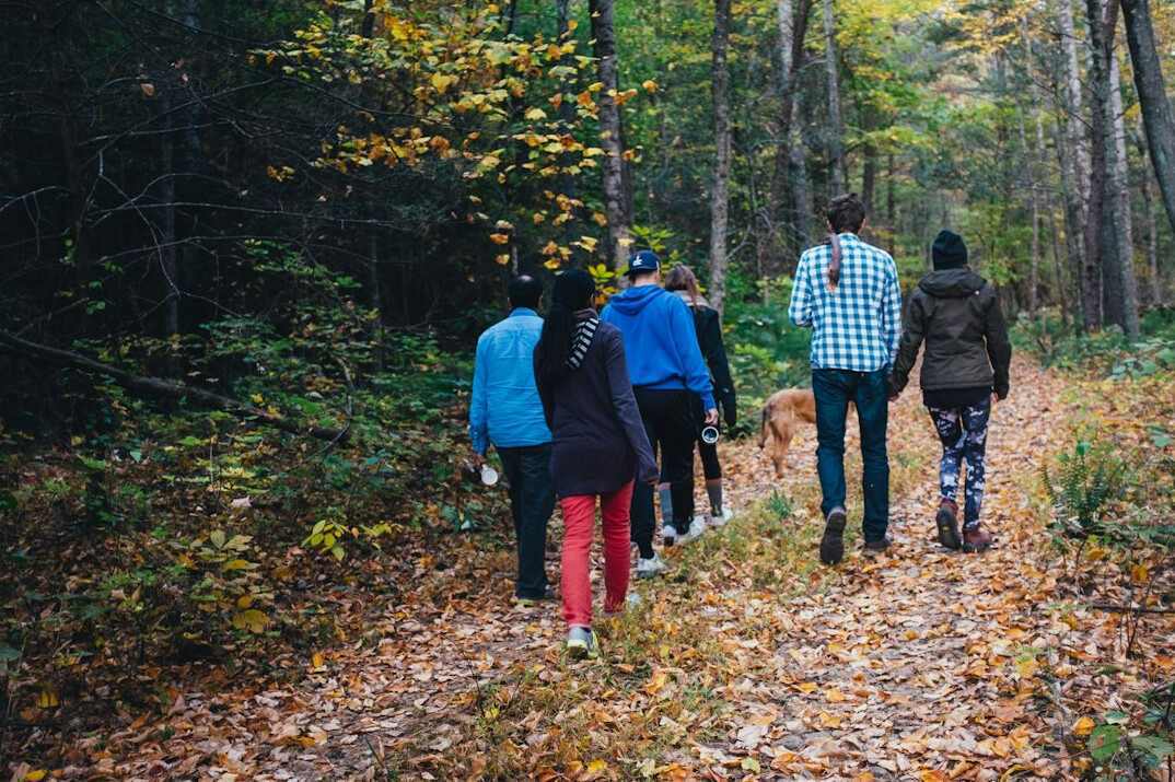 group of hikers