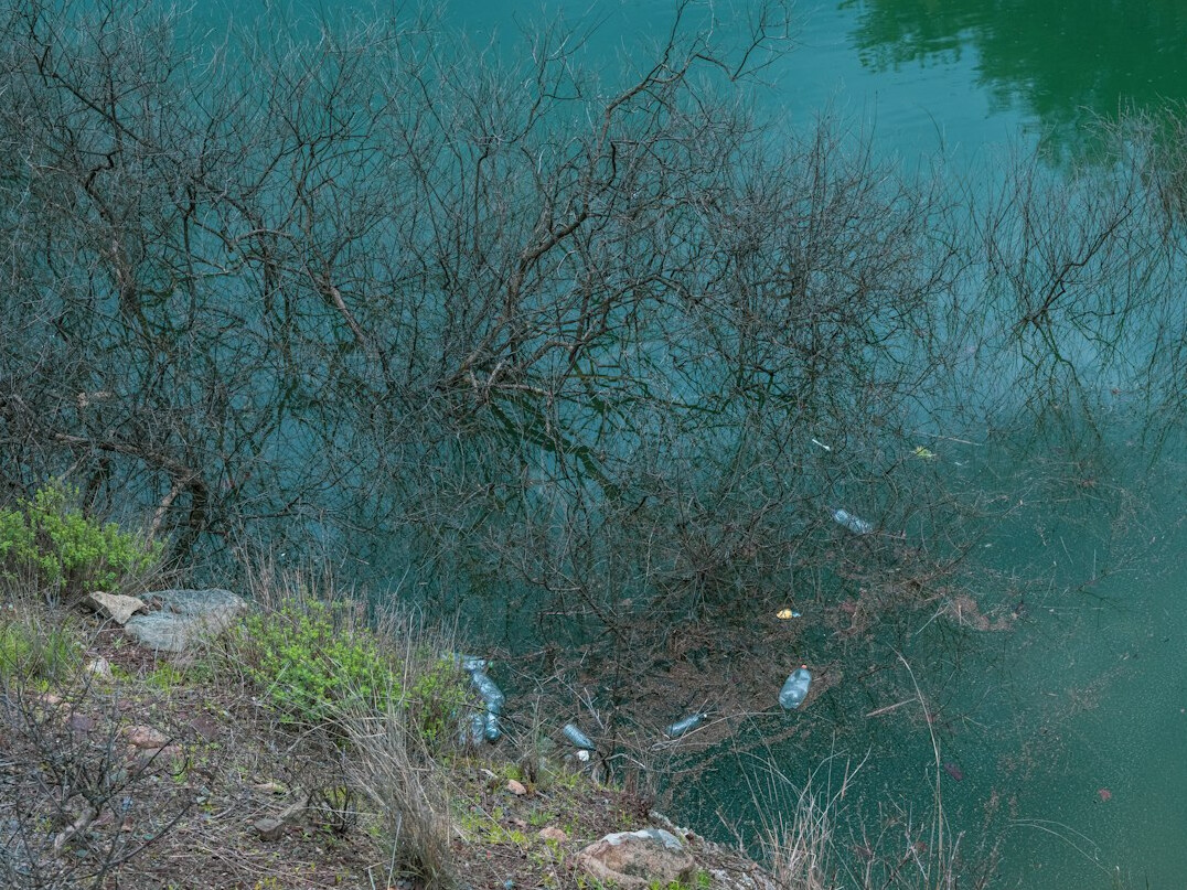 lake pollution evidence