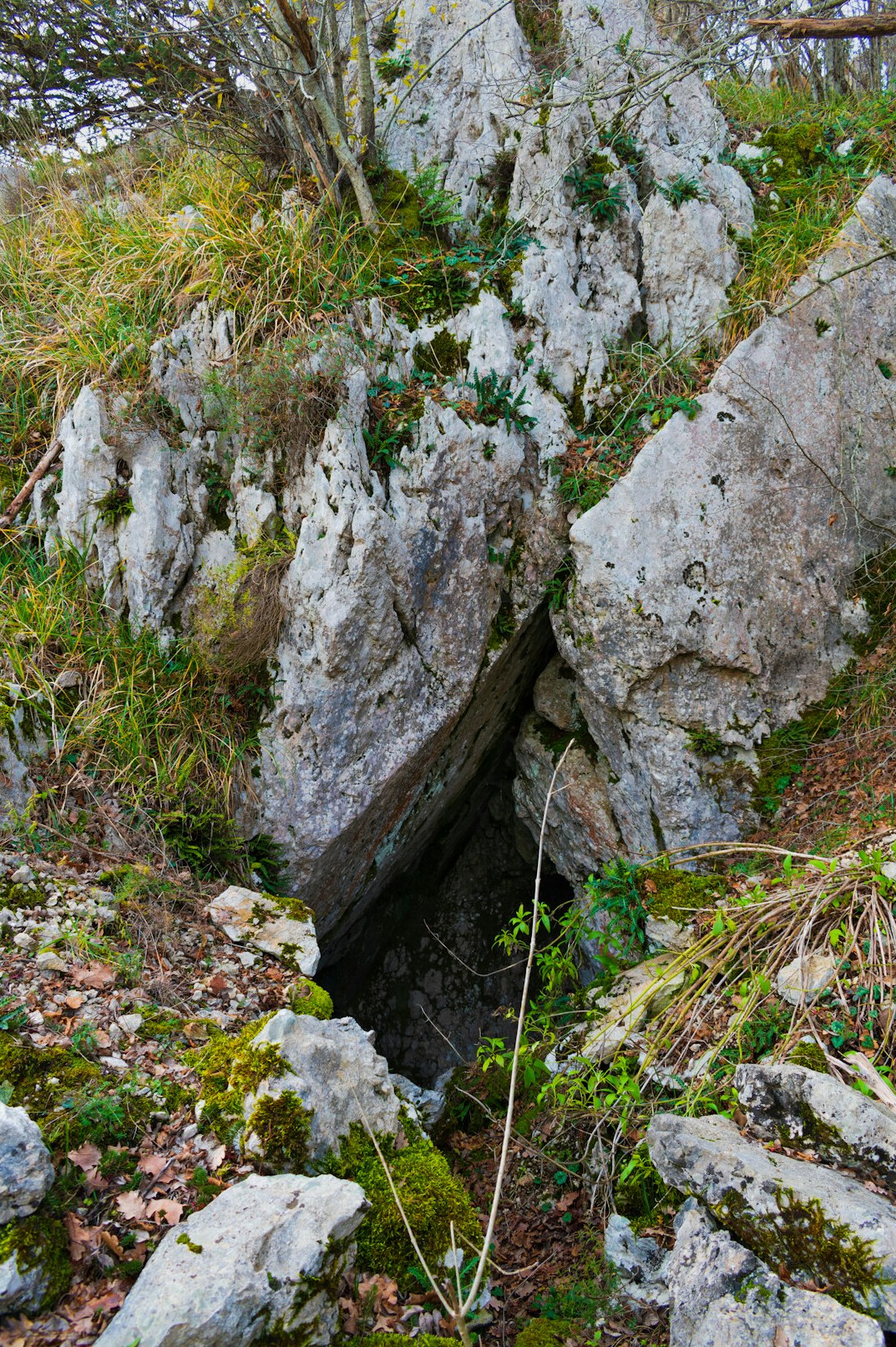 swiss alps hidden valley